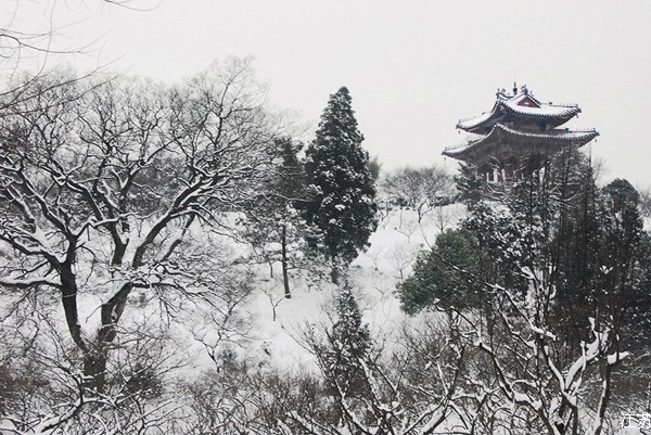 梅花山雪景